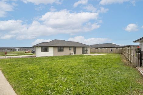 Photo of property in 68 Hinemoa Street, Levin, 5510