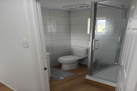 Photo of property in 132 Finlayson Avenue, Clendon Park, Auckland, 2103