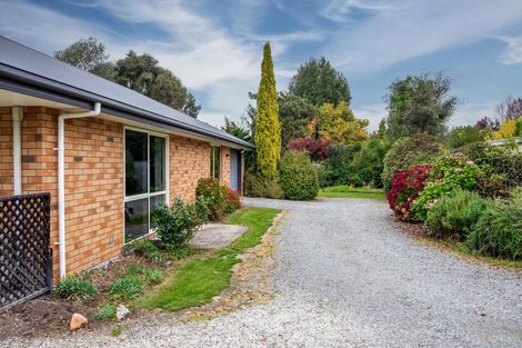 Photo of property in 20a George Street, Geraldine, 7930