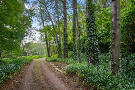 Photo of property in 195 Tyntesfield Road, Waihopai Valley, Blenheim, 7276