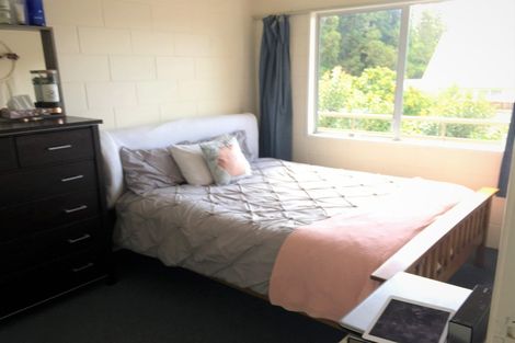 Photo of property in 45 York Street, Hamilton East, Hamilton, 3216