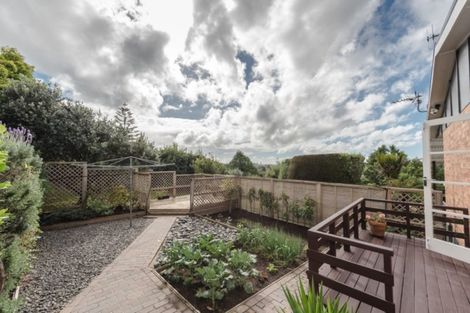 Photo of property in 32 Carey Street, Maeroa, Hamilton, 3200