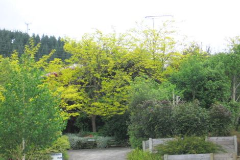 Photo of property in 37 Keepa Avenue, Paeroa, 3600