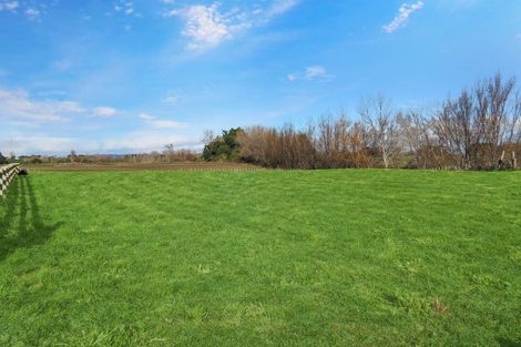 Photo of property in 90 Mahua Road, Feilding, 4777