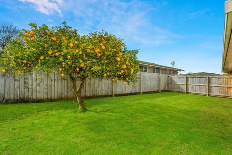 Photo of property in 26 Rushton Road, Morrinsville, 3300