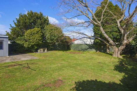 Photo of property in 58 Power Street, Levin, 5510