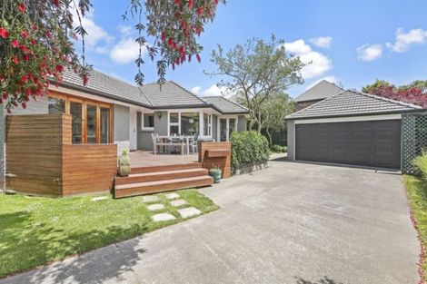 Photo of property in 8 Trist Place, Edgeware, Christchurch, 8013