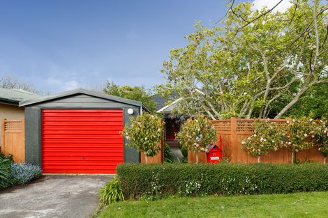 Photo of property in 21 Phoenix Avenue, Hokowhitu, Palmerston North, 4410