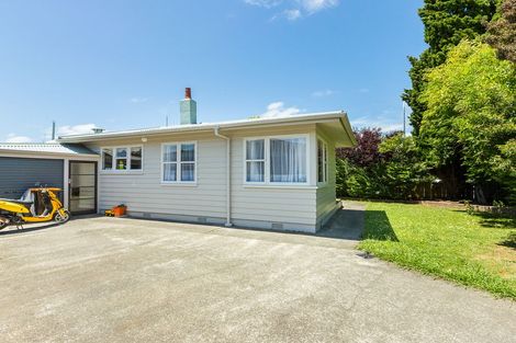 Photo of property in 333 Albert Street, Hokowhitu, Palmerston North, 4410