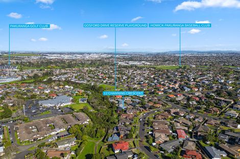 Photo of property in 12 Channing Crescent, Botany Downs, Auckland, 2010