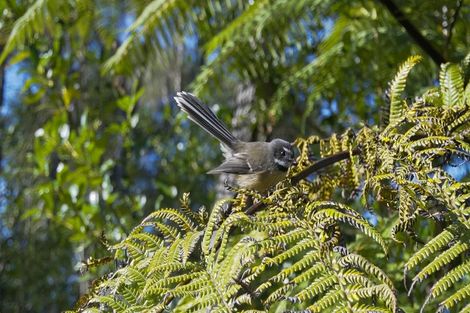 Photo of property in 207 Kokako Heights, Matata, 3194