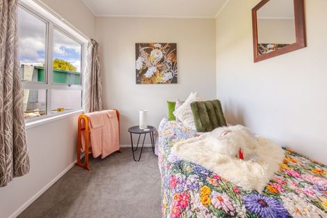 Photo of property in 1 Shanly Street, Waipawa, 4210