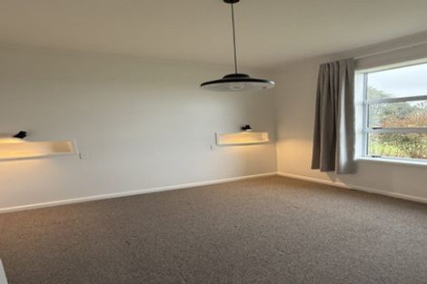 Photo of property in 17 Momona Road, Greenlane, Auckland, 1051