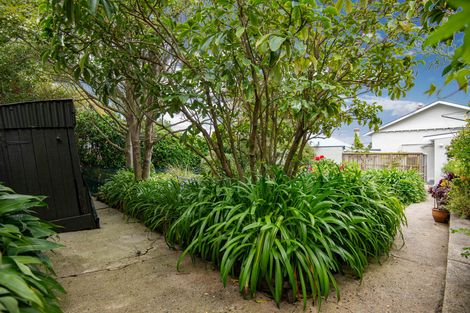 Photo of property in 30 Oakland Street, Andersons Bay, Dunedin, 9013