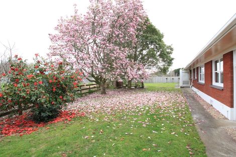 Photo of property in 34 Devine Road, Tamahere, Hamilton, 3283