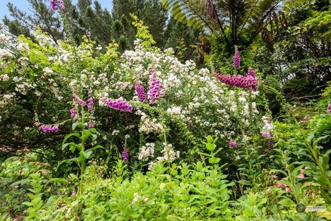 Photo of property in 6 Puriri Street, Wainuiomata, Lower Hutt, 5014