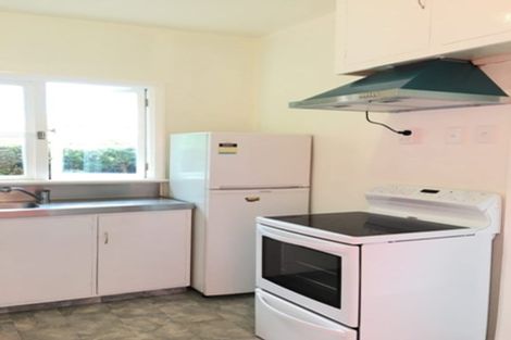 Photo of property in 45 Pacific Street, Roslyn, Dunedin, 9010