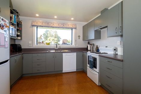 Photo of property in 46 Grove Street, Tinwald, Ashburton, 7700