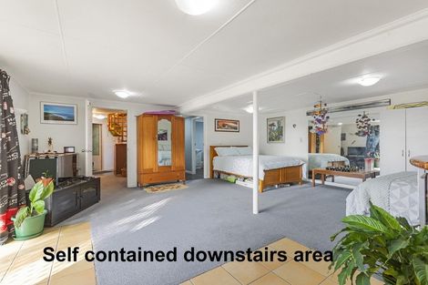 Photo of property in 87 Warren Road, Raglan, 3295