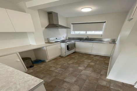 Photo of property in 57 Tripoli Road, Panmure, Auckland, 1072