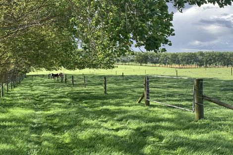 Photo of property in 418 Mangateparu Loop Road, Mangateparu, Morrinsville, 3375