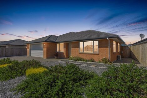 Photo of property in 53 Berryfield Drive, Richmond, 7020