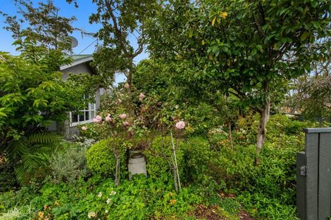 Photo of property in 27 Nelson Street, Whakatane, 3120