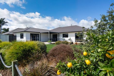 Photo of property in 1 Soma Place, Cambridge, 3434