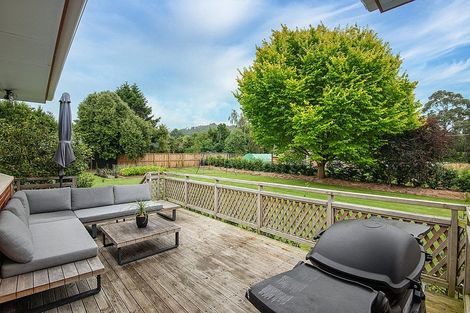 Photo of property in 22 Brown Street, Dunedin Central, Dunedin, 9016