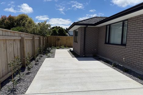 Photo of property in 14a Dudley Street, Levin, 5510