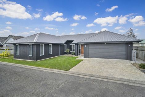 Photo of property in 1031 Reka Street, Akina, Hastings, 4122