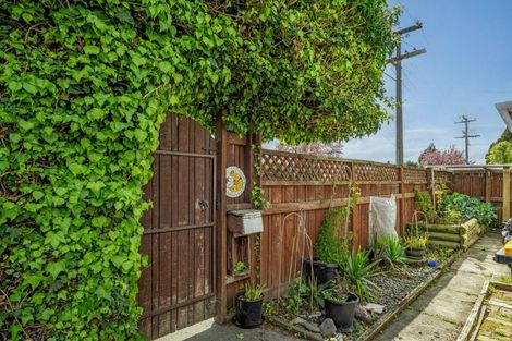 Photo of property in 30 Eltham Road, Blenheim, 7201