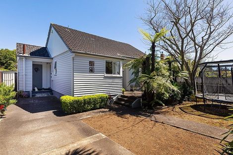 Photo of property in 14 Newcastle Terrace, Mount Albert, Auckland, 1025