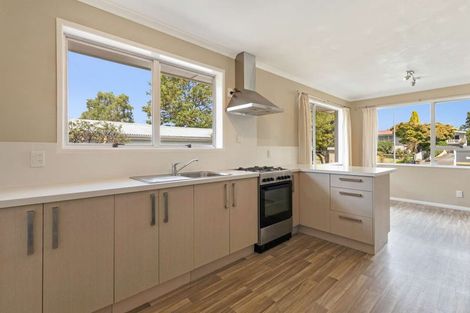 Photo of property in 40 Leefield Street, Blenheim, 7201