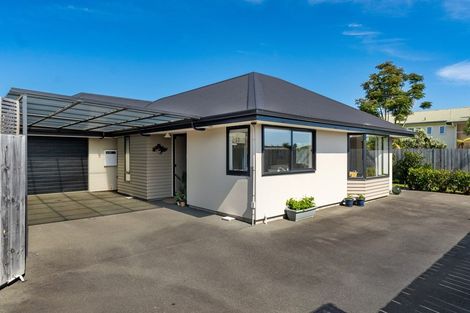 Photo of property in 21a Wilkes Street, Richmond, 7020