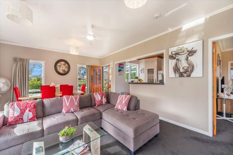 Photo of property in 97 Hangawera Road, Morrinsville, 3375