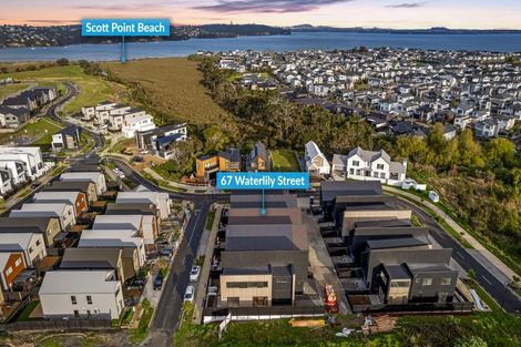 Photo of property in 67 Waterlily Street, Hobsonville, Auckland, 0616