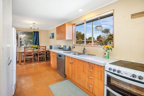 Photo of property in 43 Ferry Road, Spring Creek, 7202