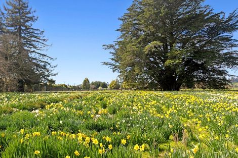 Photo of property in 66 Central Road, Lower Moutere, Upper Moutere, 7175