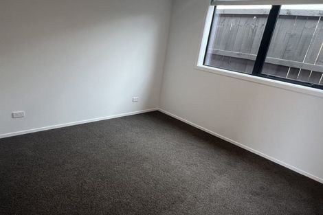 Photo of property in 44 Briannarose Drive, Fitzroy, Hamilton, 3206