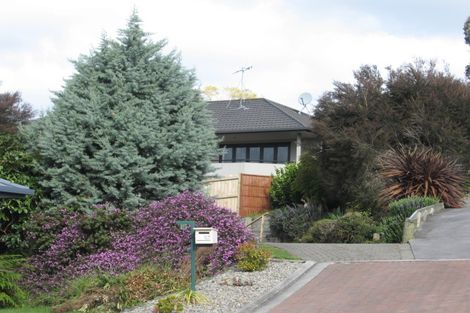 Photo of property in 15 Berkeley Grove, Bethlehem, Tauranga, 3110