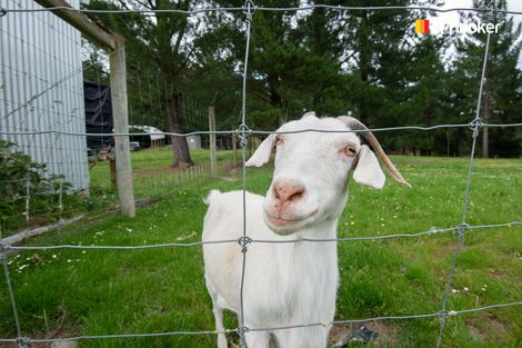 Photo of property in 524 Three Mile Hill Road, North Taieri, Mosgiel, 9092