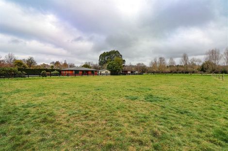 Photo of property in 115 Main North Road, Geraldine, 7930