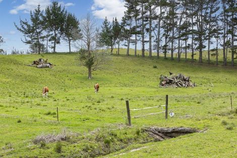 Photo of property in 2448 Far North Road, Waiharara, Kaitaia, 0484