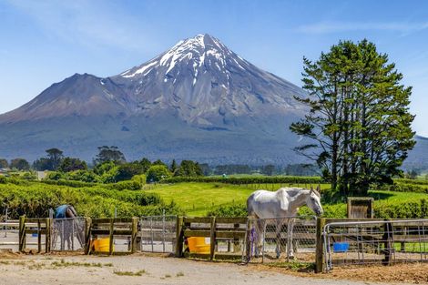 Photo of property in 1 Waingongoro Road, Cardiff, Stratford, 4391