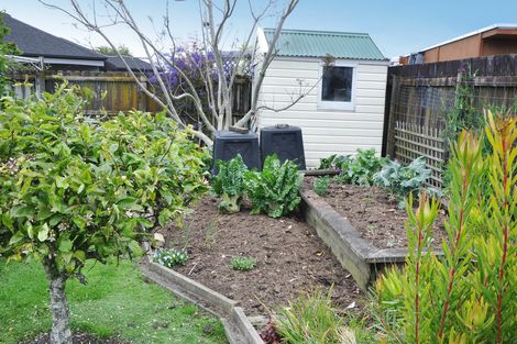 Photo of property in 19 Ashmore Crescent, Warkworth, 0910