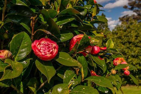 Photo of property in 49 Main Sh25 Road, Tairua, 3579