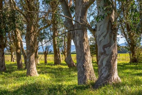 Photo of property in 357a Kahutara Road, Kahutara, 5771