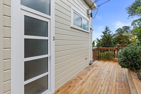 Photo of property in 44 Moffitt Street, Vogeltown, Wellington, 6021