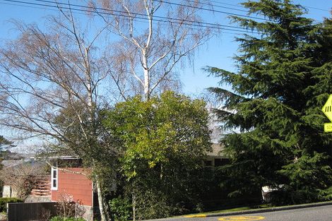 Photo of property in 123 Porangahau Road, Waipukurau, 4200